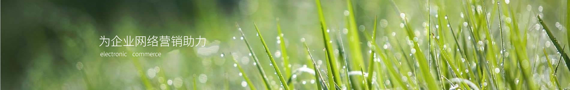 ֹڸ޹˾